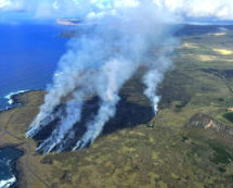 Más de  90 hectáreas fueron arrasadas por incendios forestales.